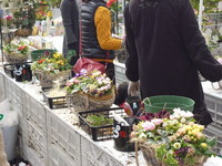 20140201-350.JPG