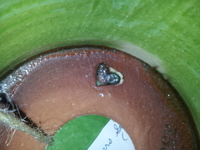 20140313-12.jpg