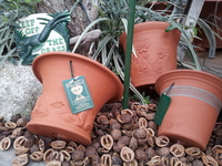 20140313-3.jpg