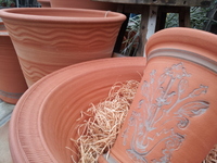 20140313-4.jpg