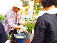 P1010856.JPG