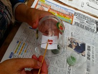 20140719_110738.jpg