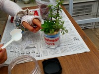 20140719_120020.jpg