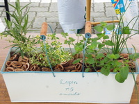 P1020006.JPG