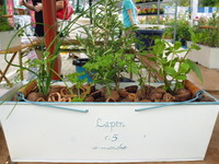 P1020011.JPG