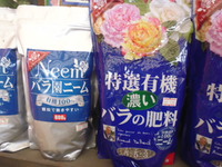 P1030077.JPG