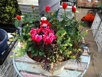 20141206193520.jpg