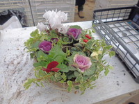 20141212110010.JPG