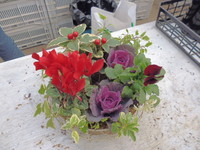 20141212112030.JPG