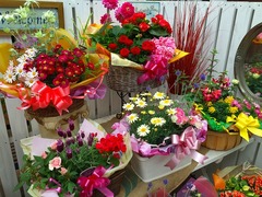 20150318184510.jpg