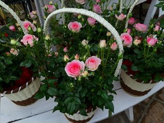 20150318184620.jpg