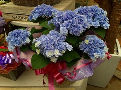 20150318184730.jpg