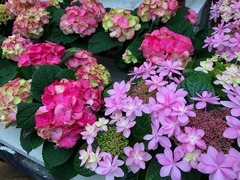 20150318185125.jpg