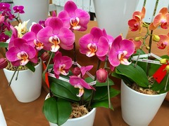 20150318185235.jpg
