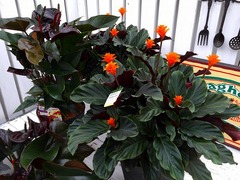 20150318185345.jpg