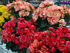 20150318185355.jpg