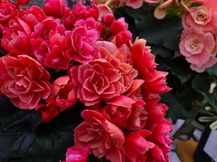 20150318185400.jpg