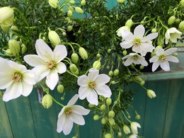 20150319190525.jpg