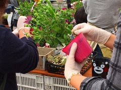 20150321184227.jpg