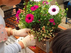 20150321194140.jpg