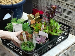 20150516185712.jpg