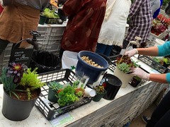 20150516190015.jpg