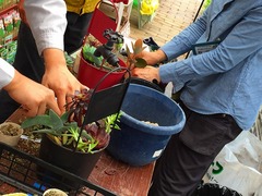 20150516191025.jpg