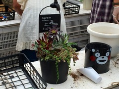 20150516191732.jpg
