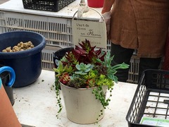 20150516192035.jpg