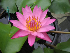 20150608200447.JPG