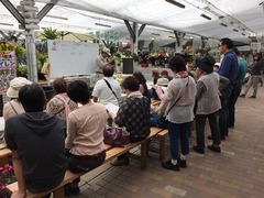 20150615184550.jpg