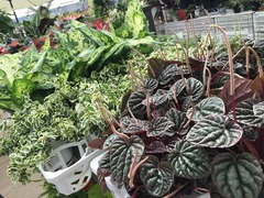 20150622183002.jpg