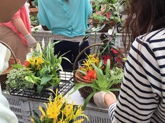 20150622183110.jpg