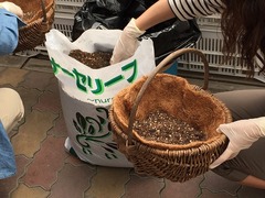 20150622183220.jpg