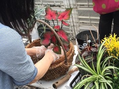 20150622183540.jpg