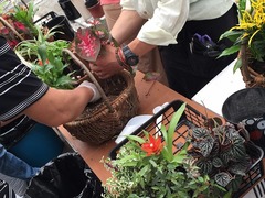 20150622183750.jpg