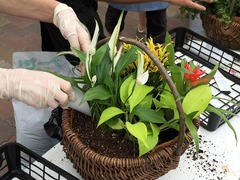 20150622184215.jpg