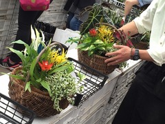 20150622184525.jpg