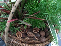 20150622184735.jpg