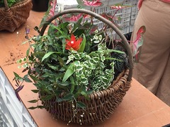 20150622185045.jpg