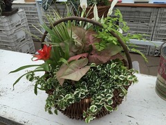 20150622185255.jpg