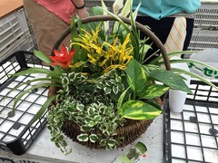 20150622185507.jpg