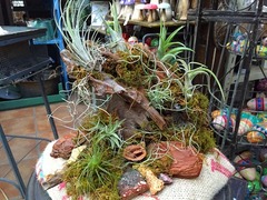 20150824181045.jpg