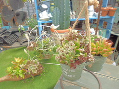20151010174010.JPG
