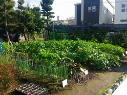 20151115_134901.jpg