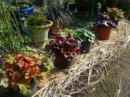 20151115_135223.jpg