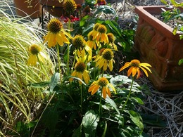 20151115_135238.jpg