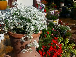 20151115_135357.jpg
