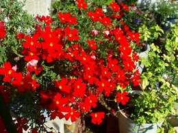20151115_135408.jpg