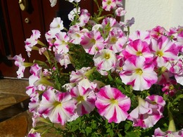 20151115_135454.jpg